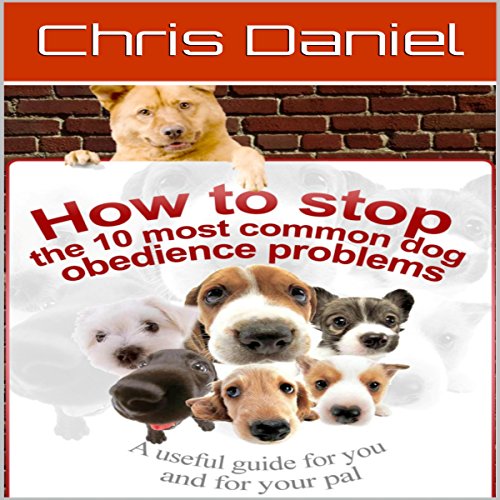 How to Stop the 10 Most Common Dog Obedience Problems