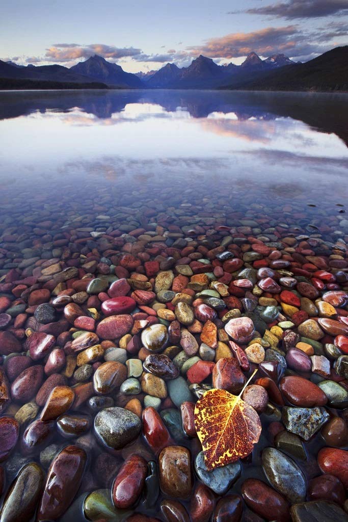 Amazon.com: McGaw Graphics Lake McDonald Glacier National Park
