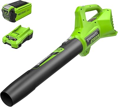 Greenworks 40V (100 MPH / 350 CFM) Cordless Axial Leaf Blower, 2.0Ah Battery and Charger Included