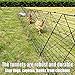 Chicken Tunnels for Yard and Outside, Run Coop Tunnel - Suitable for Chickens, Duck, Rabbit - Easy to Assemble