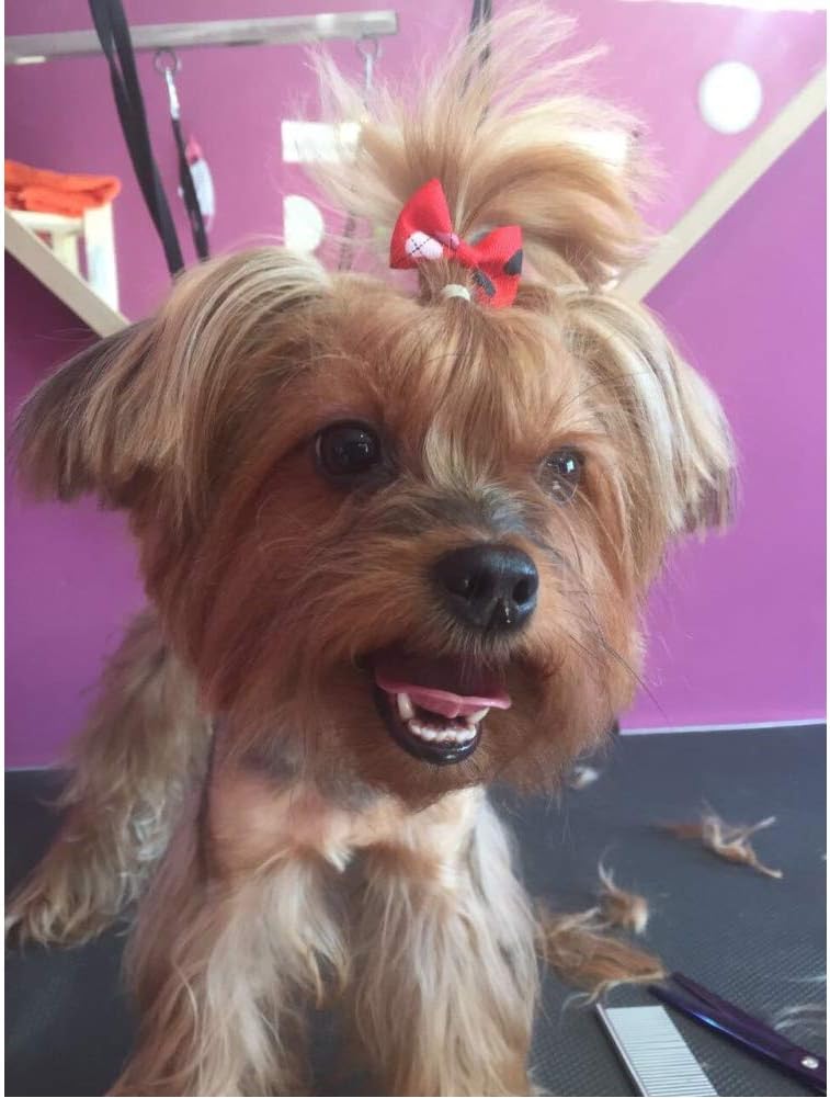 50 Pieces Assorted Dog Hair Bows with Rubber Elastic Bands, Cute Patterns Grooming Accessories for Small Dogs, Cats and Puppies 7