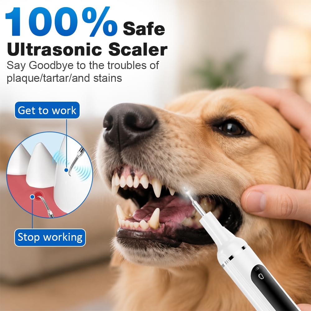 Ablatore Tartaro Ultrasuoni, IPX6 Spazzolino Ultrasuoni Cane, Kit Pulizia Denti Animali Domestici con Luce LED, Pulisci Togli Tartaro E Macchie per Cani E Gatti