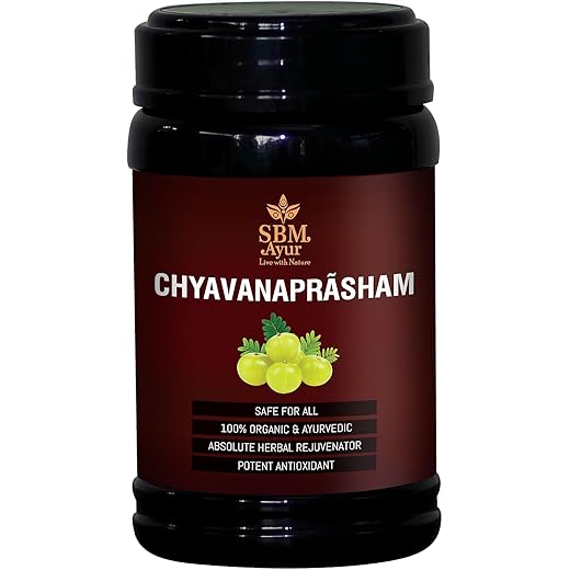 Ayur Chyavanprasham 500G