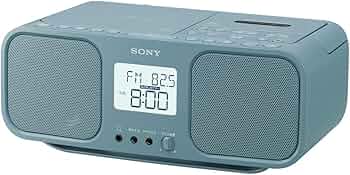 61s1bRAsEuL._AC_UF350,