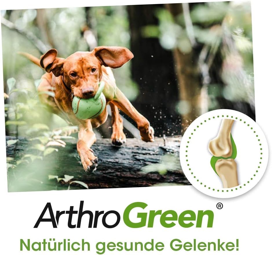 cdVet ArthroGreen Lauf-Fit 2,5l - natürliche und effektive Nahrungsergänzung zur Unterstützung der Gelenke für Pferd, Hund und Katze mit Kräutern