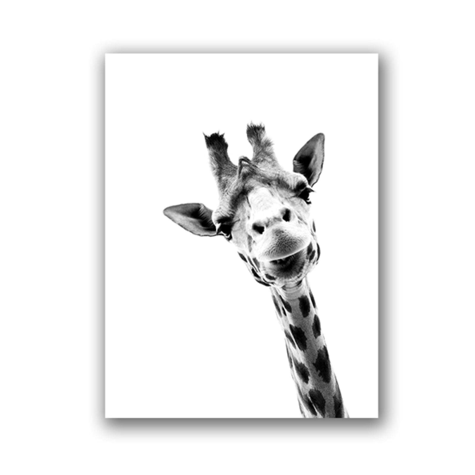 Jirafa Safari Animales Negro Blanco Lienzo Póster Arte de la Pared Pintura Guardería Bebé Jirafa Fotografía Impresión Niños Habitación Decoración 60x80cmx3pcs Sin Marco