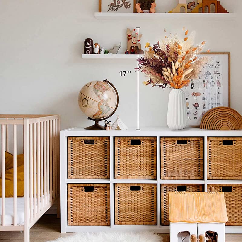 Ramo de Pasto Pampas Seco Boho Decor 100 varas miniatura 7
