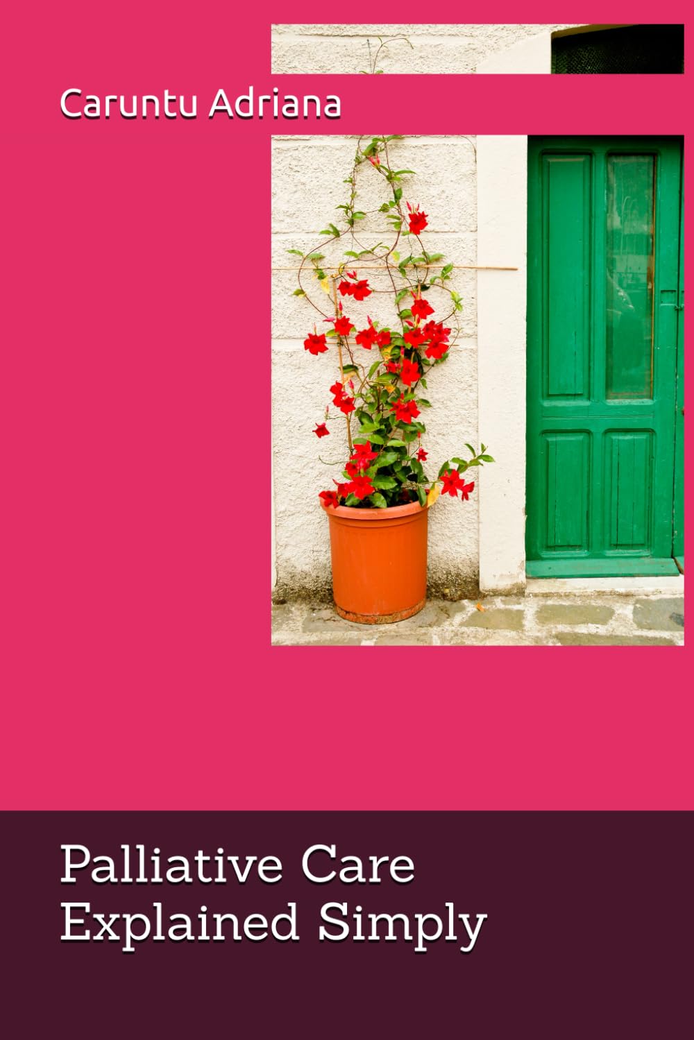 Palliative Care Explained Simply: A Compassionate Guide for Patients, Families, and Caregivers Worldwide