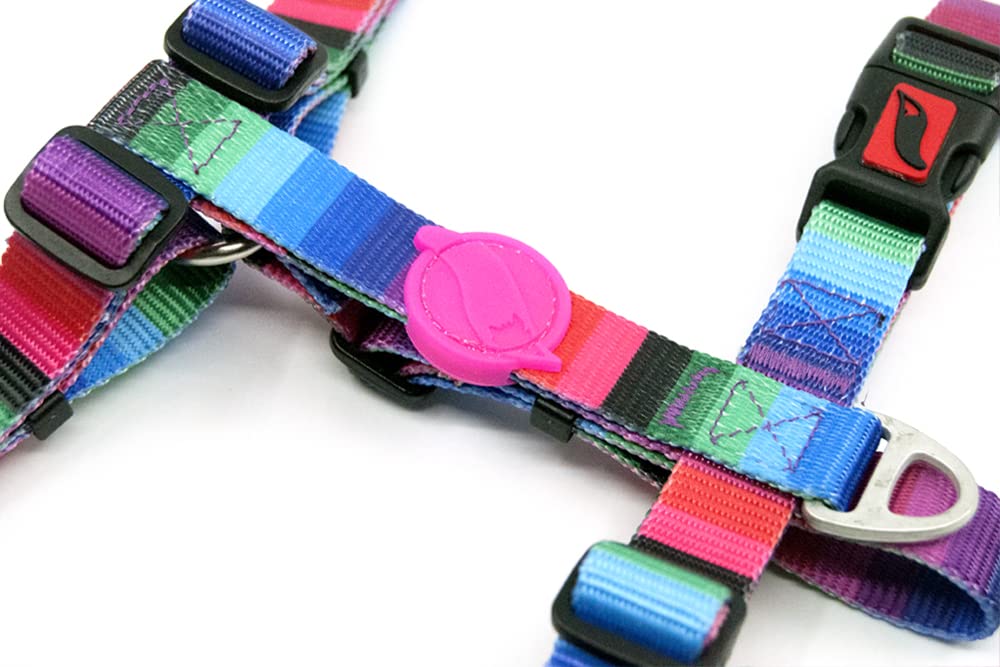 Collar Para Perro Ajustable ASTORPET Tailpetz - Tacto Suave, Cierre De Seguridad, Talla S (25-40 Cm)