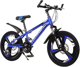 LiRuiPengBJ Children's bicycle 21 Speed Moutain Bike for Women and Men Dual Disc Brake City Moutain Bicycle Carbon Steel Suspension Fork MTB Bikes for Adults and Teens (Size : 20inch)