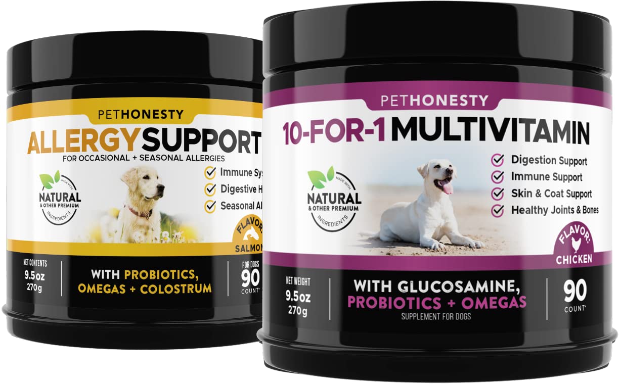 How Can I Help My Dog With Pollen Allergies