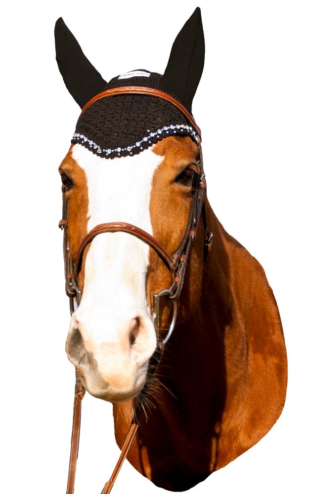 Equine CoutureFly Bonnet with Crystals - Pony