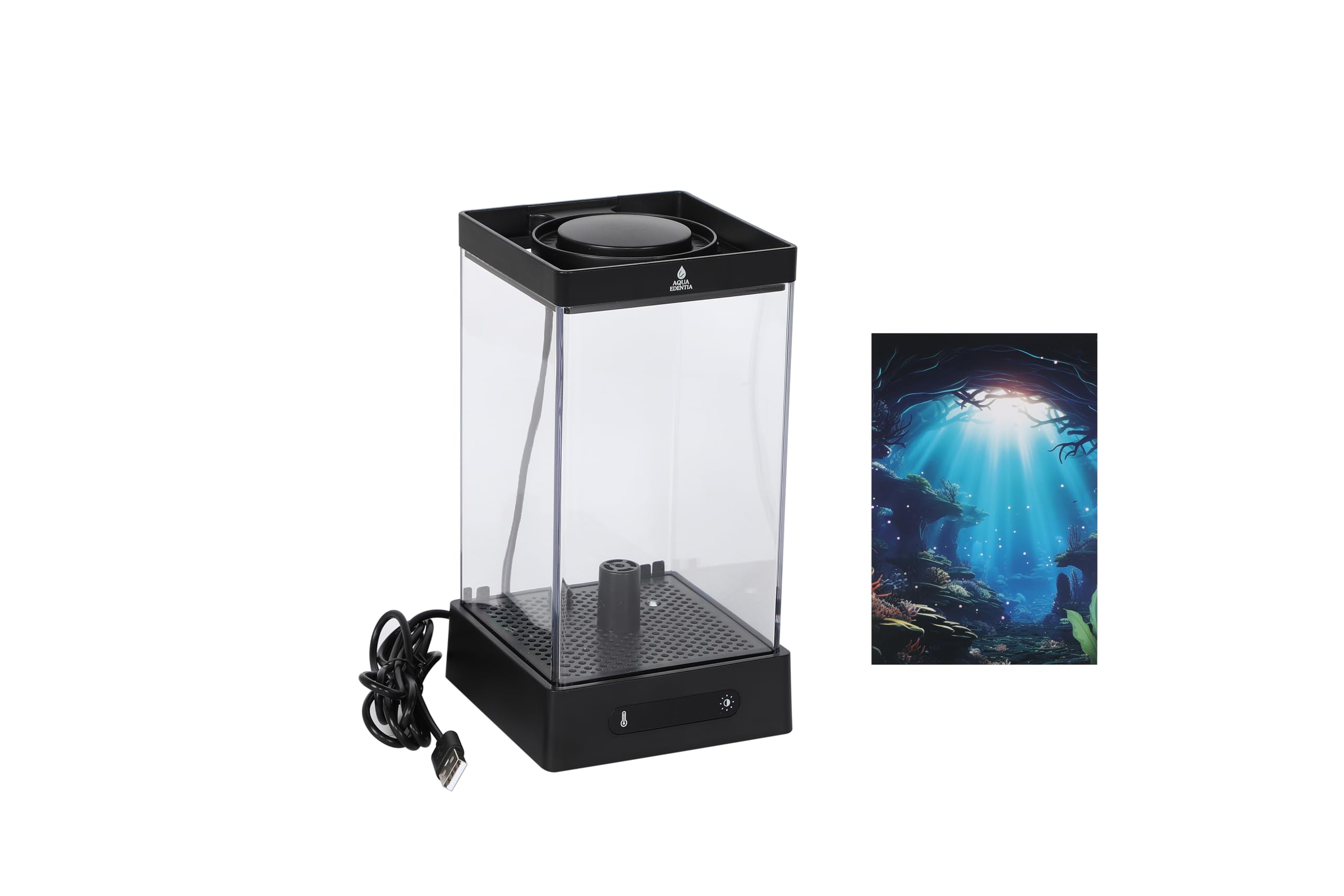 Amazon | ベタ飼育セット スマート水槽 小型1.6L水槽 温度設定20-30