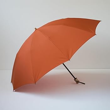 Amazon | 日本製 ミラトーレ 60㎝ 10本骨 畳まずに持てる