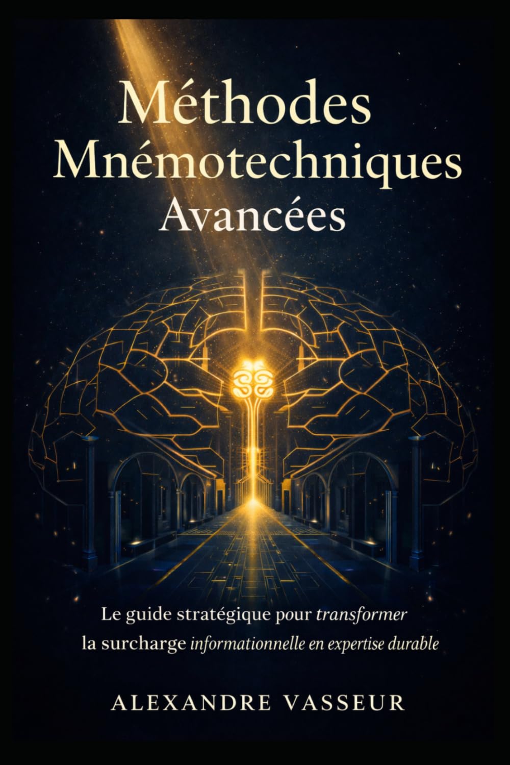 Méthodes Mnémoniques Avancées: Le guide stratégique pour transformer la surcharge informationnelle en expertise durable