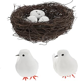 Abaodam 2 Sets Pigeon Model Vintage Christmas Decorations Rattan Decor White Decorations Bird Sculpture Ornament Holiday Bird Figurine Garden Bird Foam White Foams Bird Nest Foams Nest Egg
