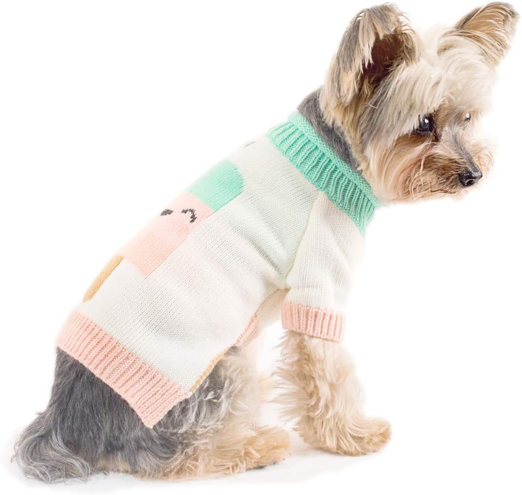 Stinky G Dog Sweater Smiley Popsicle Size #14
