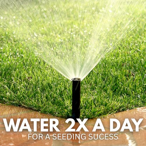 Image of American Bermuda Lawn Grass Seeds for Lawn, Turf, Cricket Ground, Stadium, Park, Farmhouse, Sports Field, Garden Grass, Fast Growing, Gardening Seeds | (Bermuda Lawn Grass Seeds)
