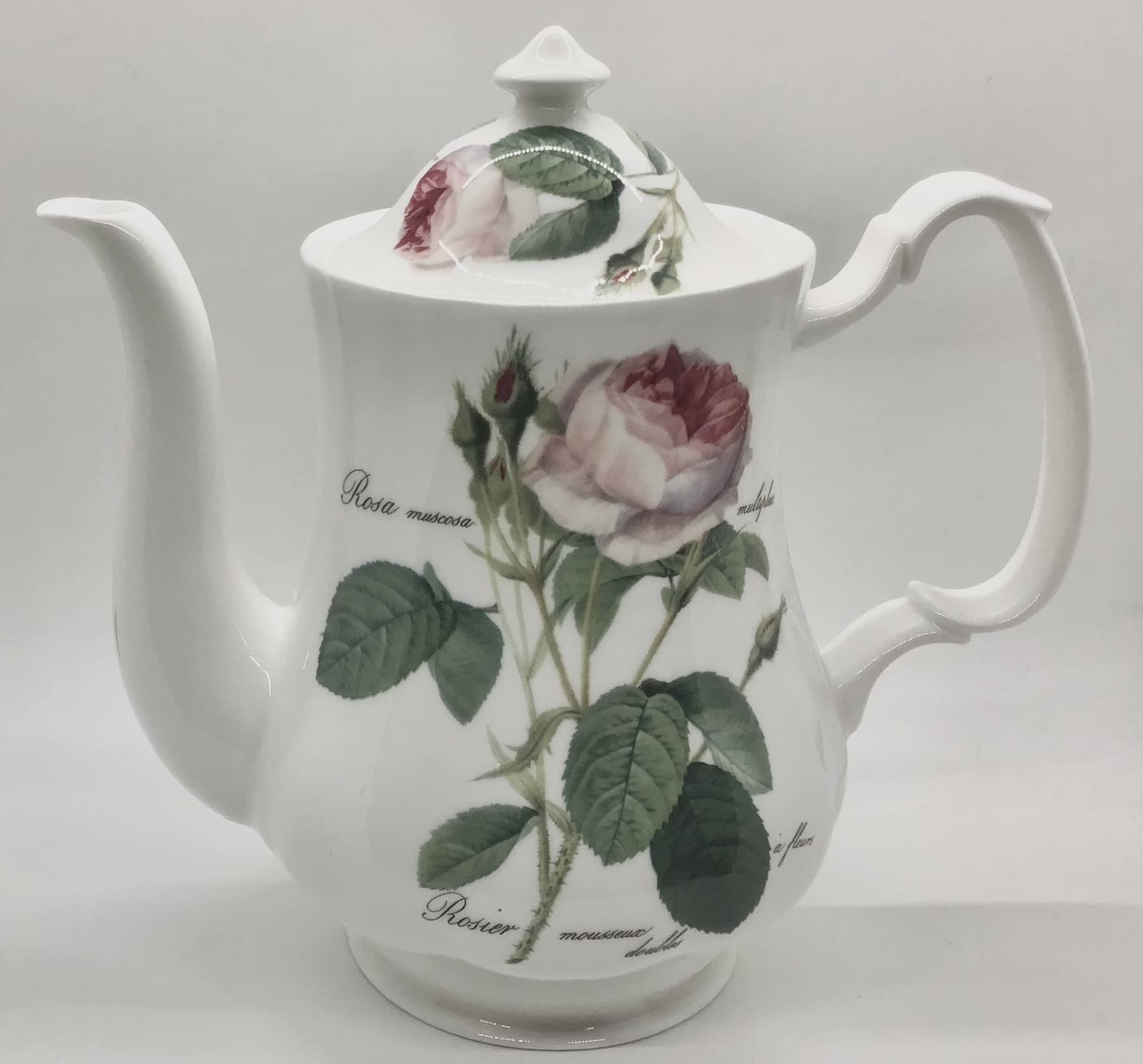 Buy Large Fine English China Coffee Pot Teapot 7 Cup Redoubt Roses