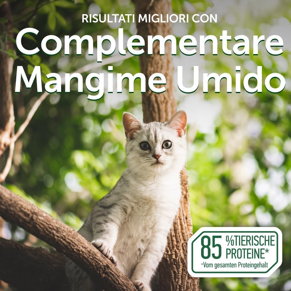 Nature's Protection Superior Care Umido gatti sterilizzati, Tonno 24 x 70 g | Topper morbido in salsa succosa, Alimentazione quotidiana, Gatti adulti da interno, Ricco di proteine, 24 buste