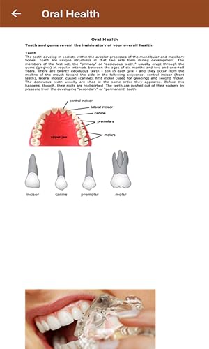 Human Anatomy