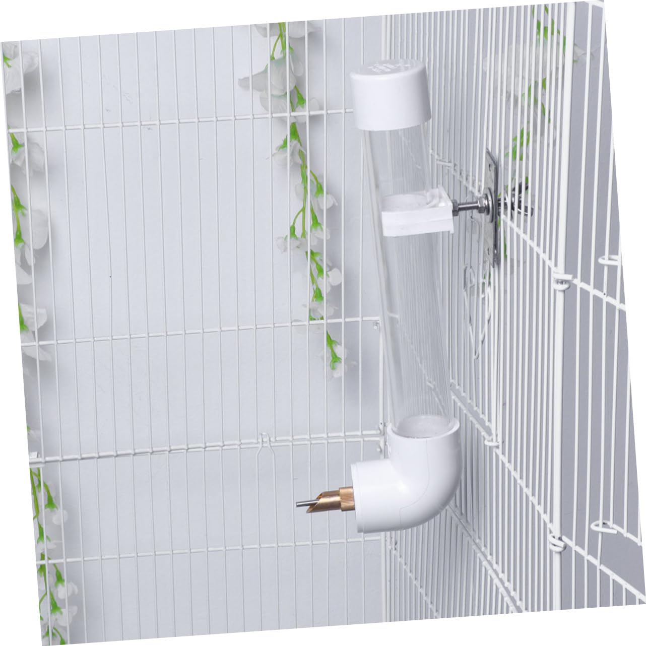 WOONEKY Distributore Automatico Di Acqua Per Pappagalli Di Medie E Grandi Dimensioni in Plastica Robusta Montabile A Parete