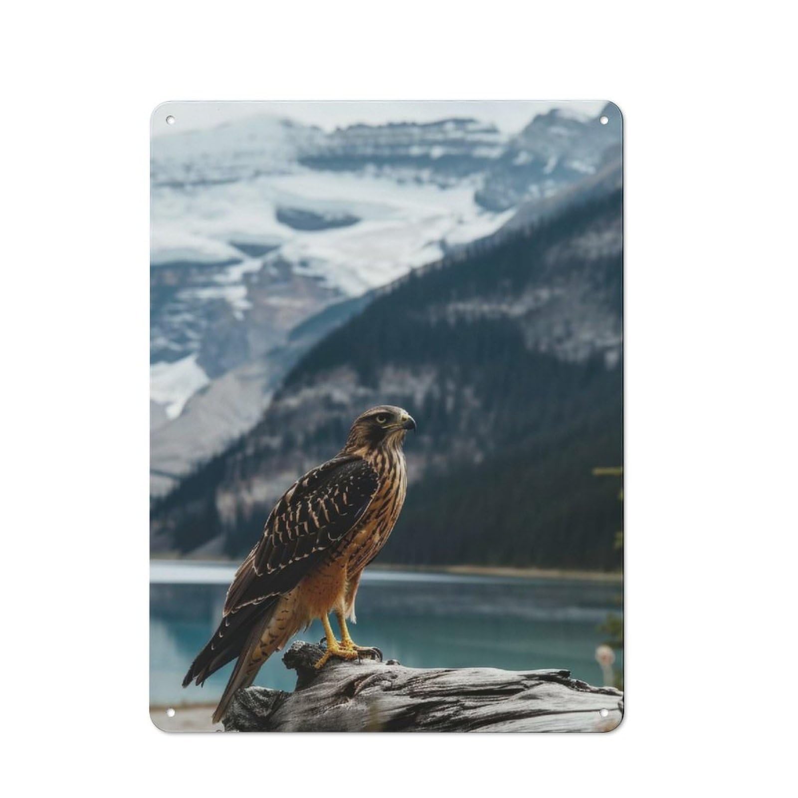 Junmoney Style-21 Hawk Near Lake Nature Vintage Metal Wall Decor 40X30cm, Tin Sign For Cafe, Pub, Workshop Or Home Bar, Small Accent For Blank Walls