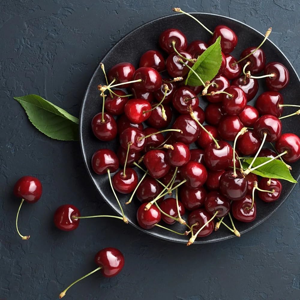 Brighter Blooms - Bing Cherry Tree, 4-5 ft. - No Shipping to AK, AZ, CA, CO, HI, ID, OR, WA