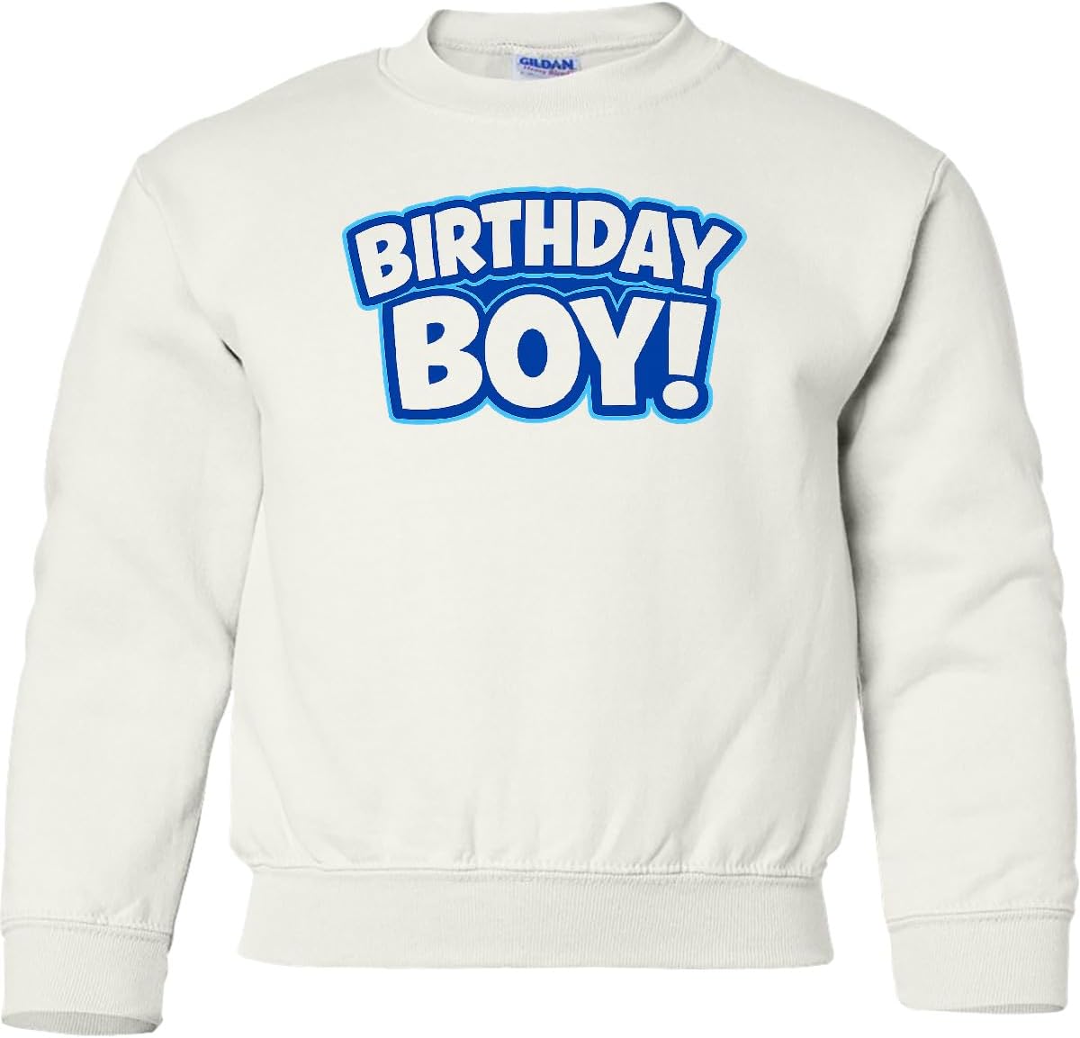 inktastic Birthday Boy Youth Sweatshirt
