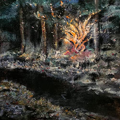 Tony Hawk American Wasteland [Explicit]