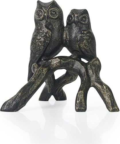 DreamsEden Estatua de búho, decoración del hogar, de hierro fundido, bonitos detalles decorativos para mesa o estante, regalos para amantes de los