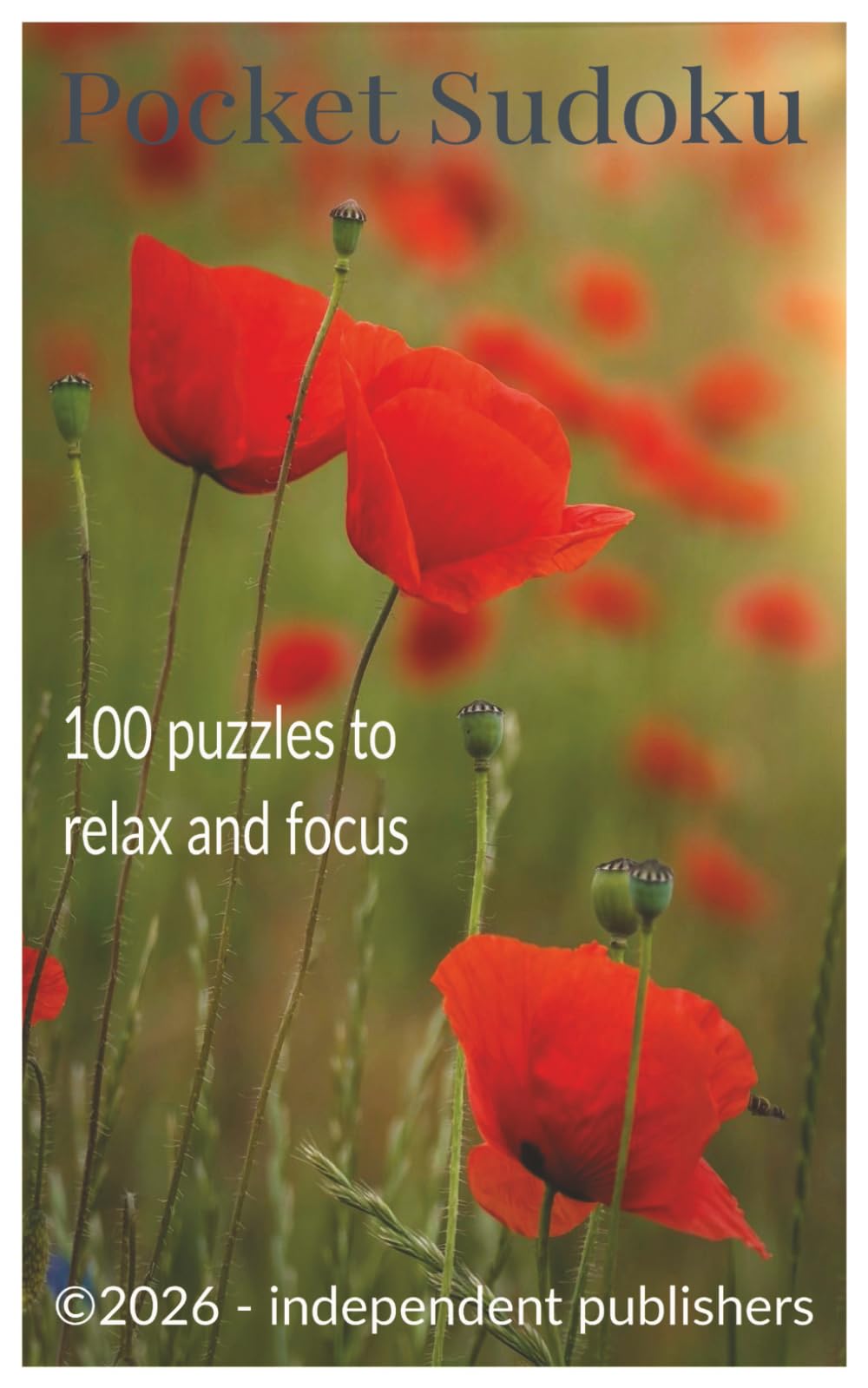 Pocket Sudoku: 100 puzzles to relax and focus