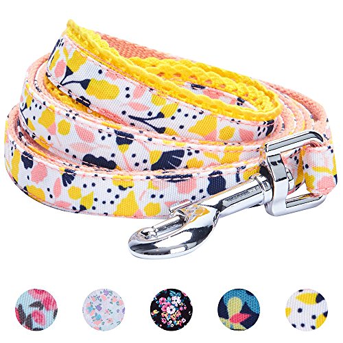 Blueberry Pet Durable Made Well Blooming Floral Print Dog Leash In Creamy White, 5 Ft X 5/8", Small, Leashes For Dogs #TOP5