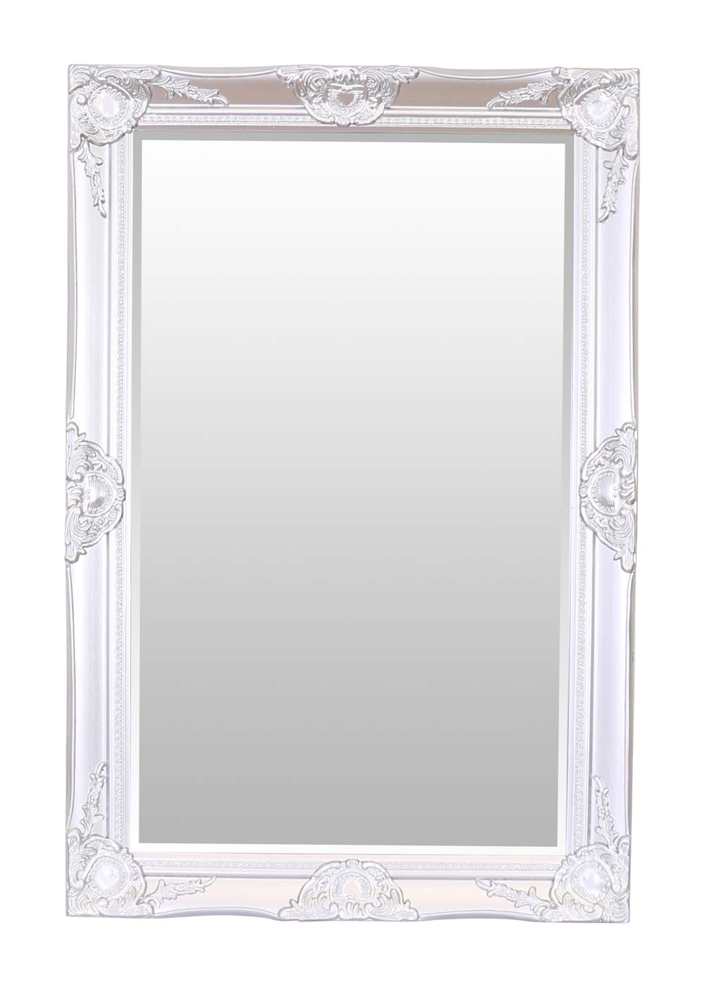 Select MirrorsHaywood Rectangle Wall Mirror (60cm x 90cm, Platinum Silver)