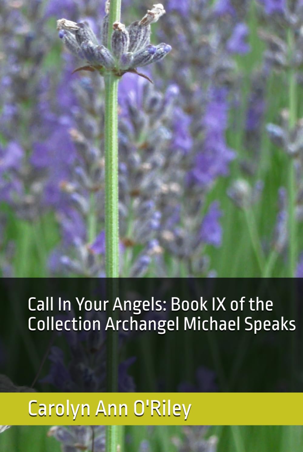 Call In Your Angels: Book IX of the Collection Archangel Michael Speaks
