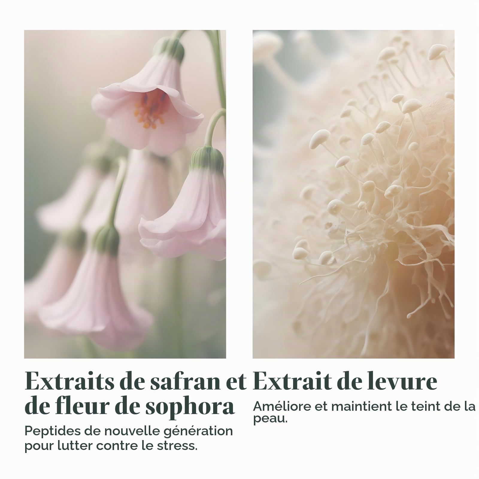 Crème jeunesse rides SOTHYS