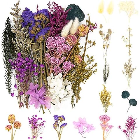 iDattel Natural Dried Flowers,Multiple Flowers Natural, DIY Natural Dried Flower Set for Arts and Crafts DIY Resin Jewelry Craft Cards Making(Purple) Cover