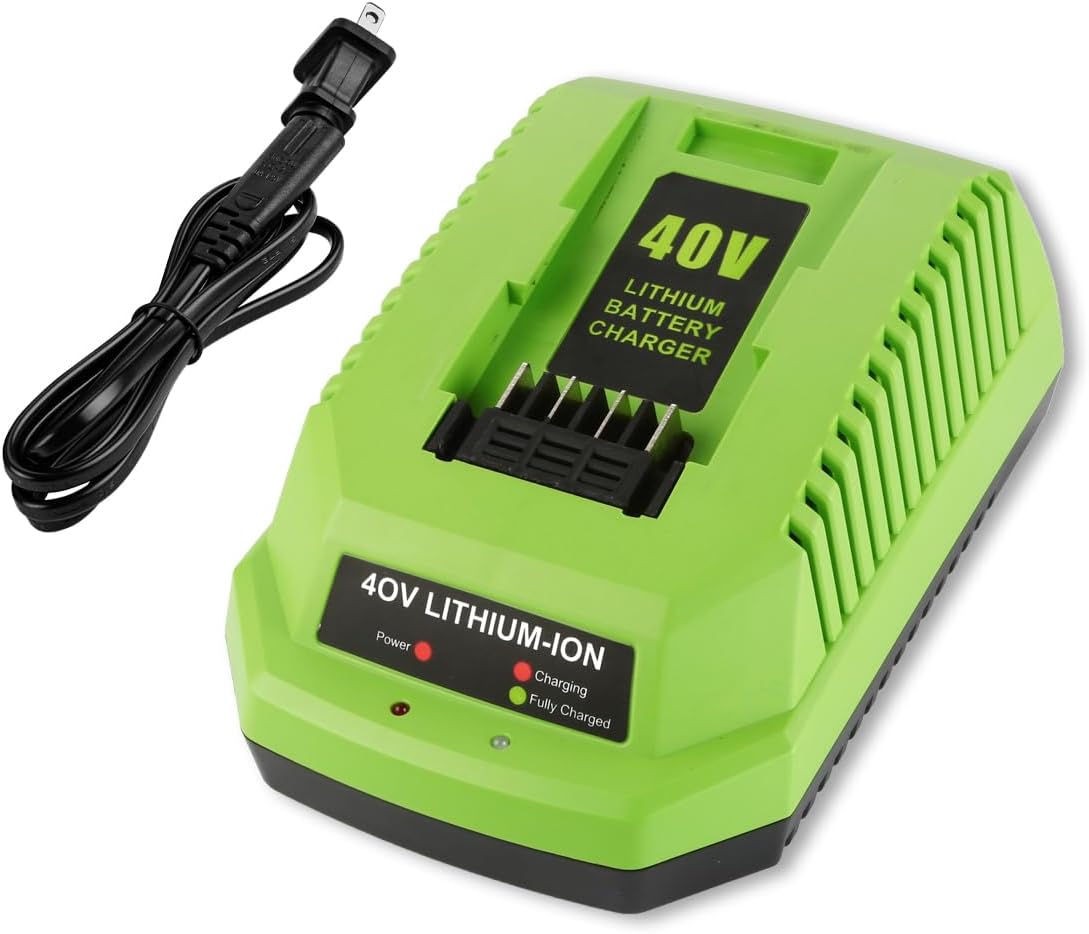 Xtahdge Chargeur de batterie au lithium 40 V pour GreenWorks 29482 G-MAX Batterie lithium-ion 40 V 29472 29482 29652 G40825 Prise UE