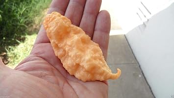 10 Super Hot Pepper Seeds, JAYS GHOST SCORPION, Peach - Capsicum chinense