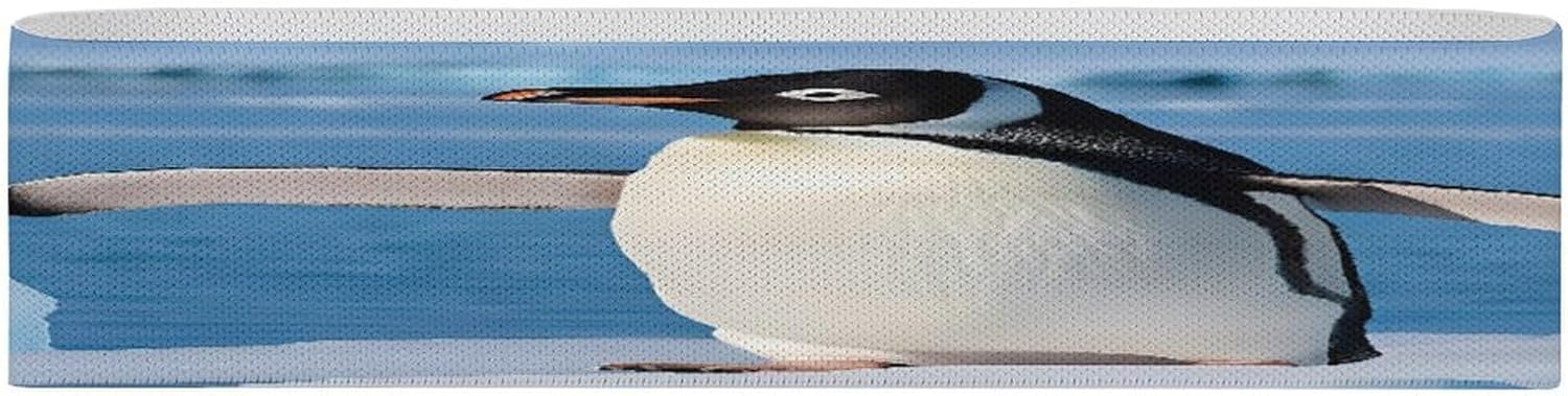 Non-Slip High Resistance Yoga Bands for Stretching, Extra Wide Exercise Bands for Women/Men, Cute Penguin Yoga Straps, Physical Therapy Stretch Straps for Home Gym, Pilates & Rehab