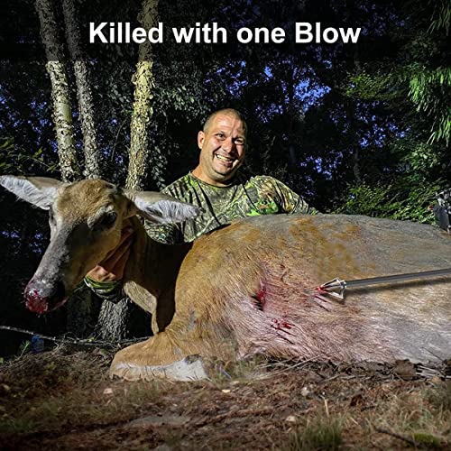 Aimdor X1 Broadheads Hunting Broadheads 12Pcs 100/125 Grain Fixed Blades Stainless Steel X1 Hunting Broadheads For Crossbow Compound Bow And Hunting Bow #TOP6