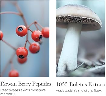 Amazon.com: SOTHYS Hydrating Velvet Youth Cream | Face