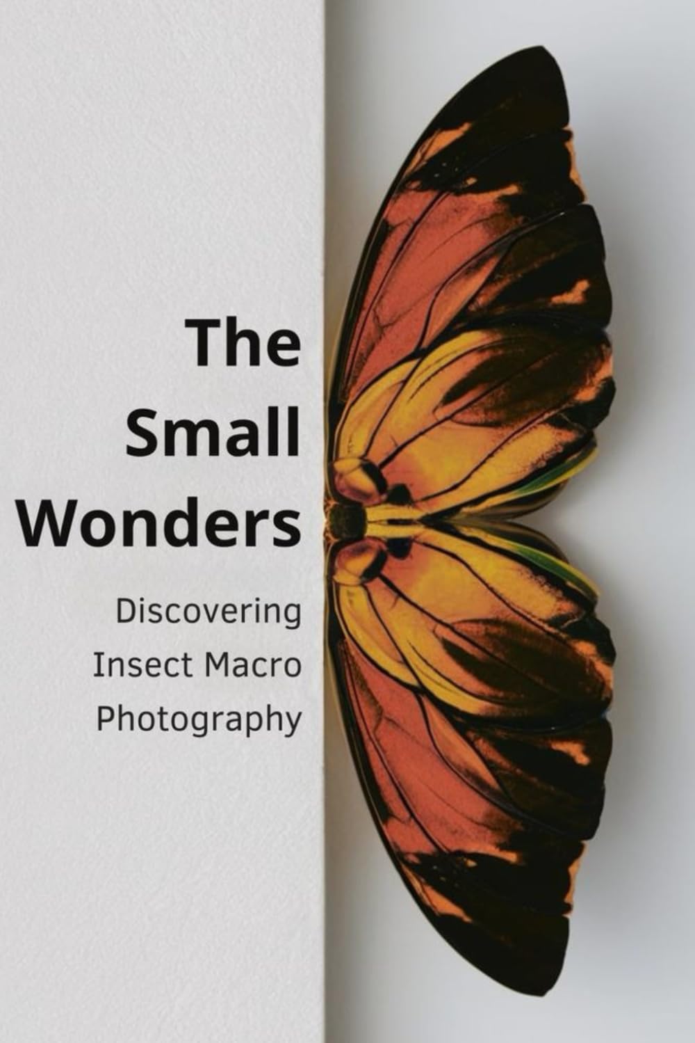 The Small Wonders: Discovering Insect Macro Photography
