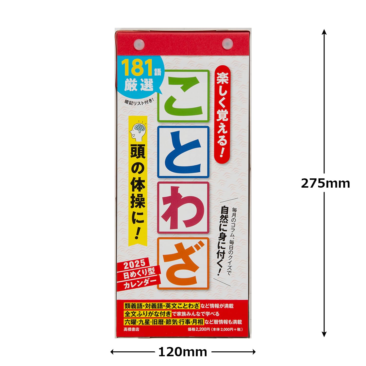 2025年度版【２冊セット】おまとめ割り Amazon | 高橋 2025年 カレンダー 壁掛け B3変型 E52 | アダルト