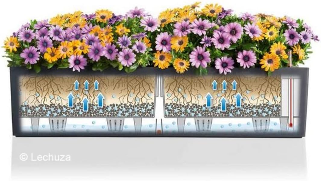 Lechuza BALCONERA Color 80 Light Grey, 79 x 19 x 19 cm