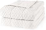 Mr. Sandman Weighted Blanket, Minky Dots and Cooling Microfiber Heavy Blanket, Soft and Cozy Weighted Throw for Sleeping and Calm,36 x 48in, 3lbs, Grey