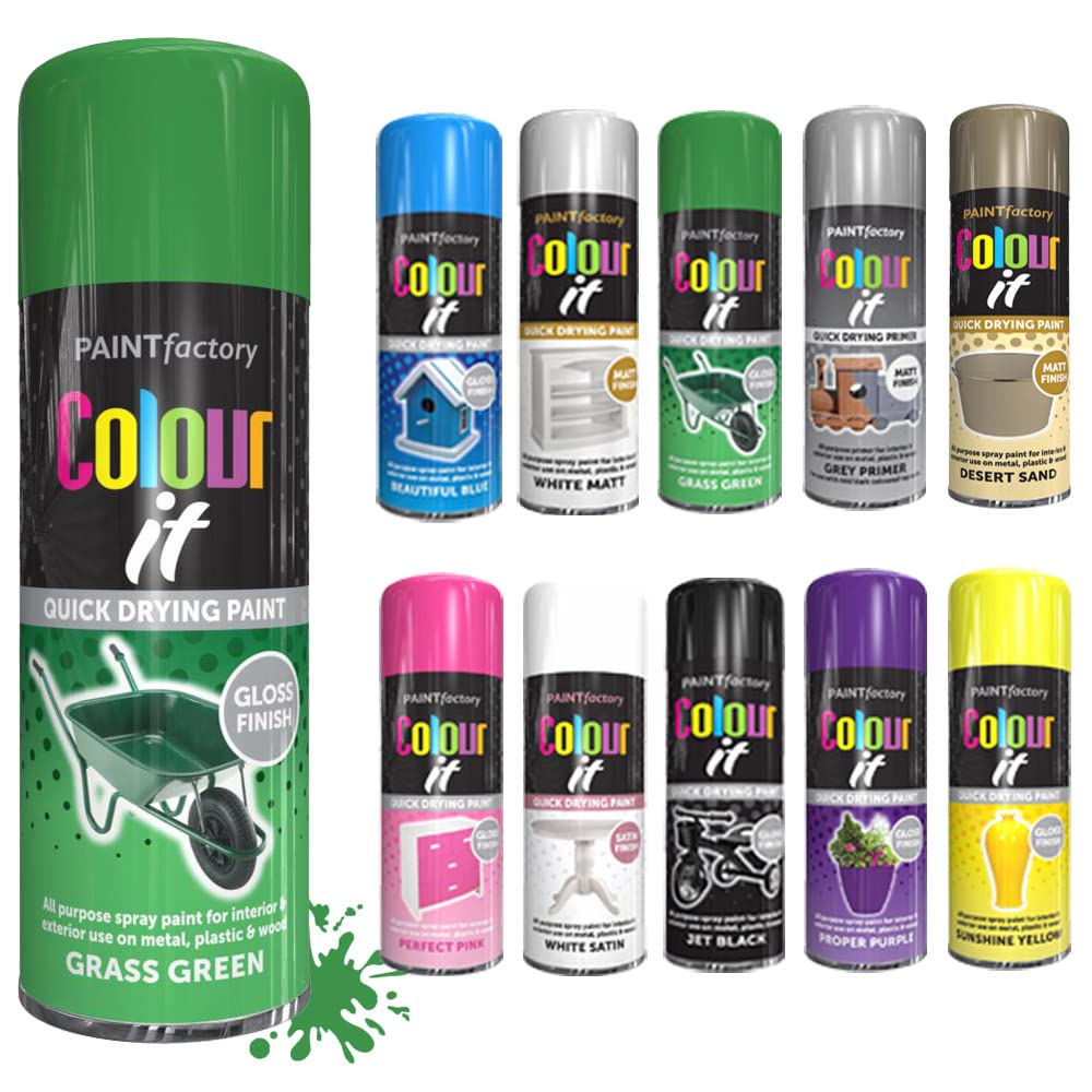 SCHNAZZ - 1 x All Purpose Grass Green Aerosol Spray Paint 250ml Fast Dry, Quick Drying Spray and Excellent Coverage for Wood, Metal, Plastic, Glass and More