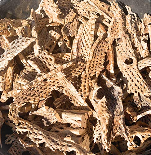 Teddy Bear Cholla (Choya) Wood Shards, 1/2-13 inch, Crafts Shrimp Biofilm Fish Aquariums Isopods Plants Bioactive Vivarium Terrarium - Bulk, Wholesale, Multi-Sizes (Large, 14 x 4 x 4 Box)