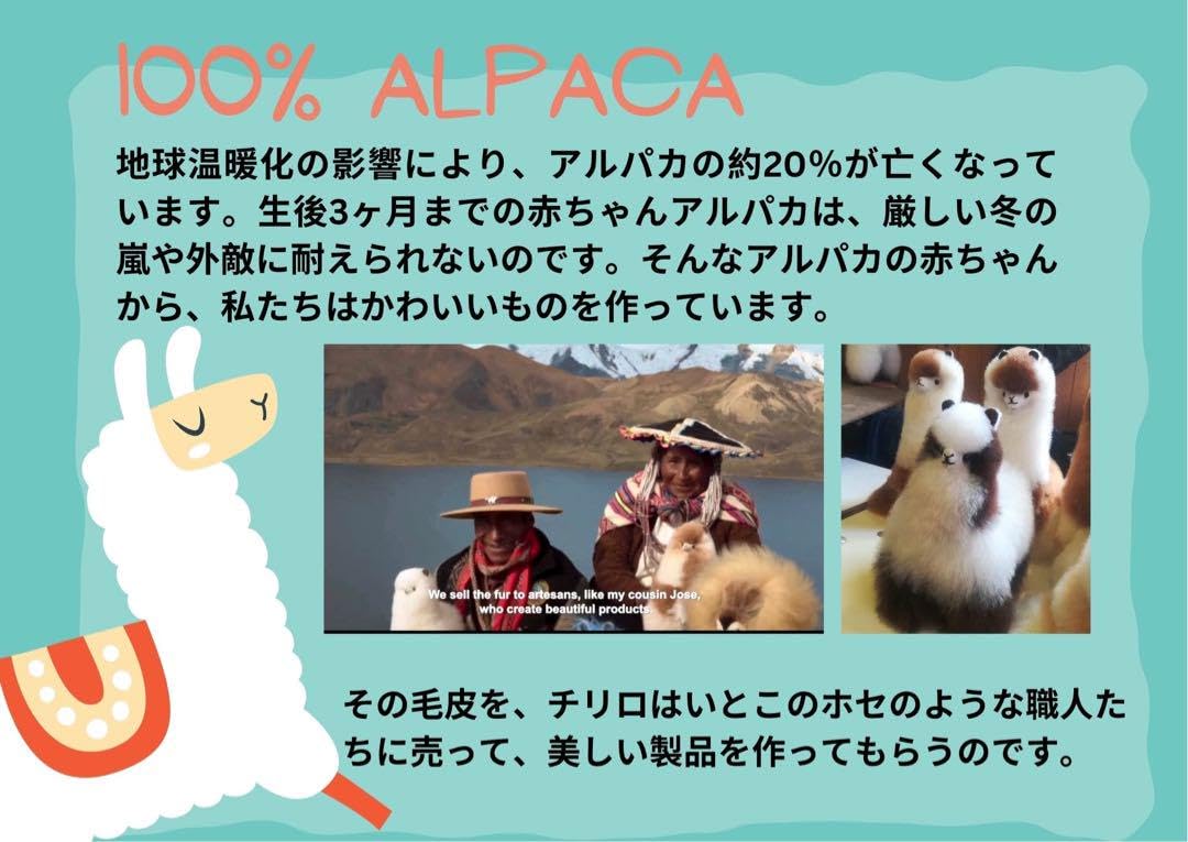 Amazon.co.jp: 暖かいベスト レディース お洒落 革と毛皮のアルパカ 