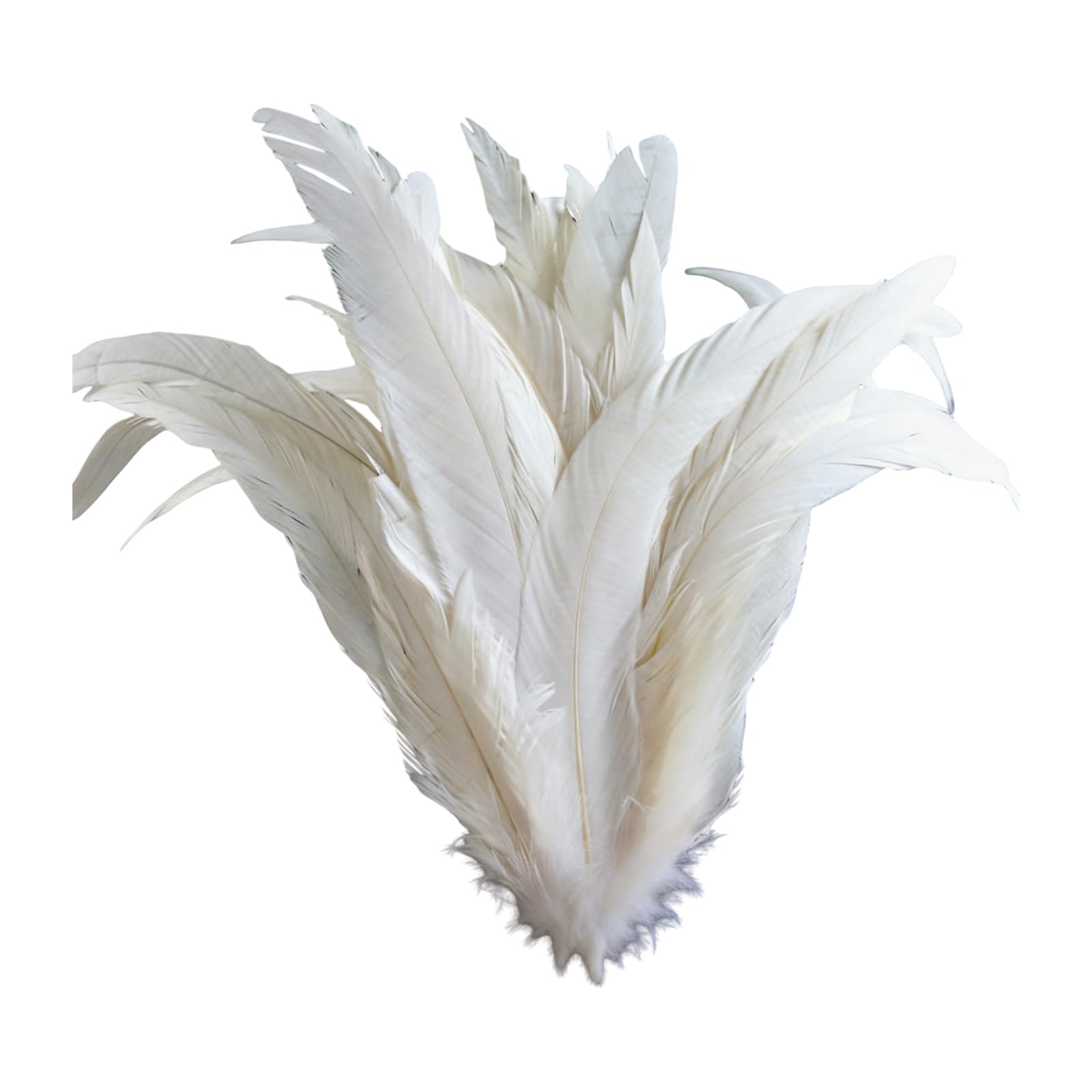 Buxuaaaa White Of 40Pcs 25 30Cm Long Natural Plumage For Clothing Accessories And Home Decoration Long Craft Quills